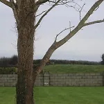 In The Countryside - Kinvara Dom wakacyjny